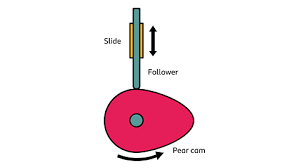 Cam