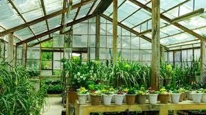 Greenhouse