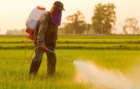 Pesticides