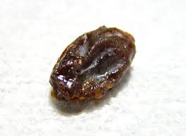 Raisin