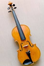 Violin
